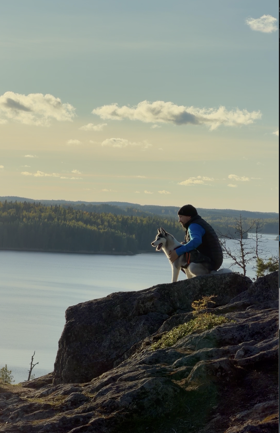 Screenshot 2025-11-02 at 15.49.13.png