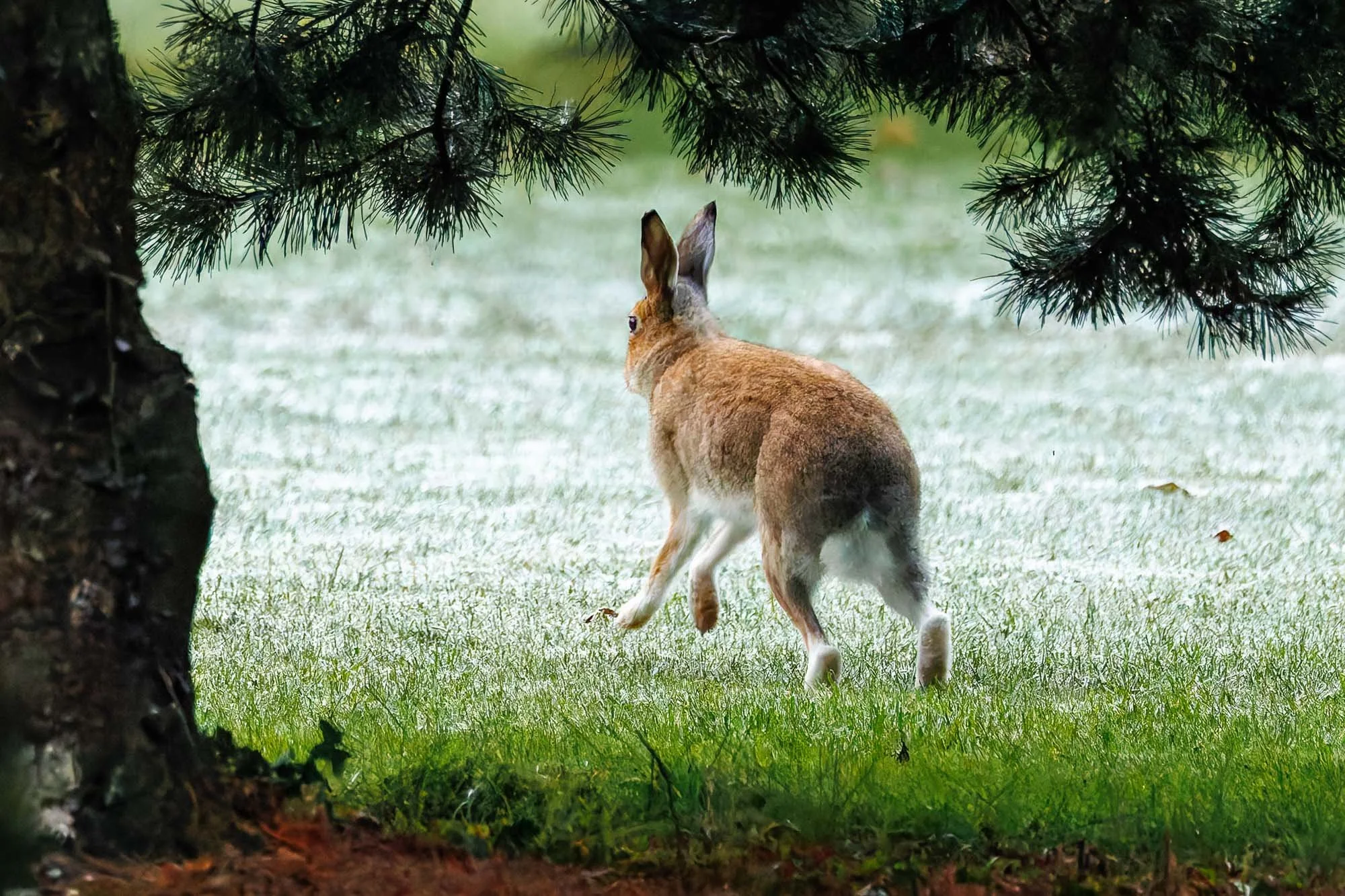 _H2A6823-DxO_DeepPRIME XD2s.jpg