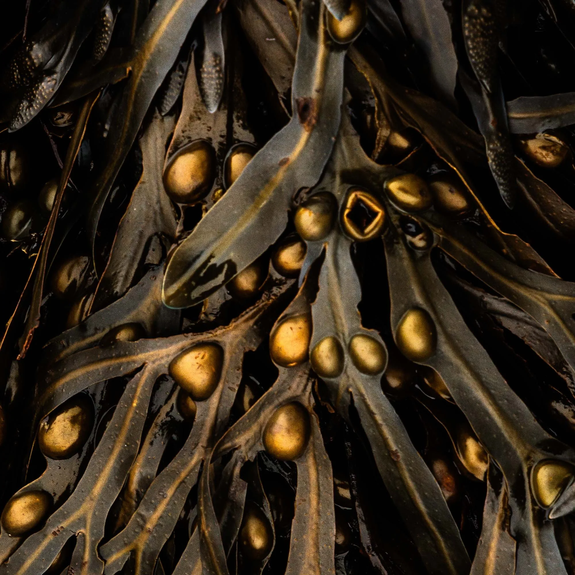 Arriving without a plan