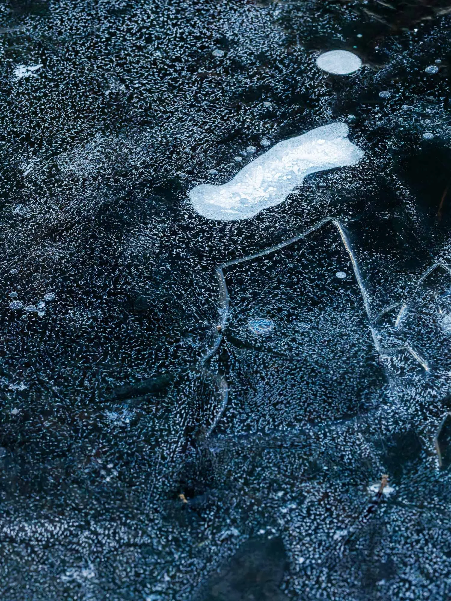 _H2A6972-DxO_DeepPRIME XD2s.jpg