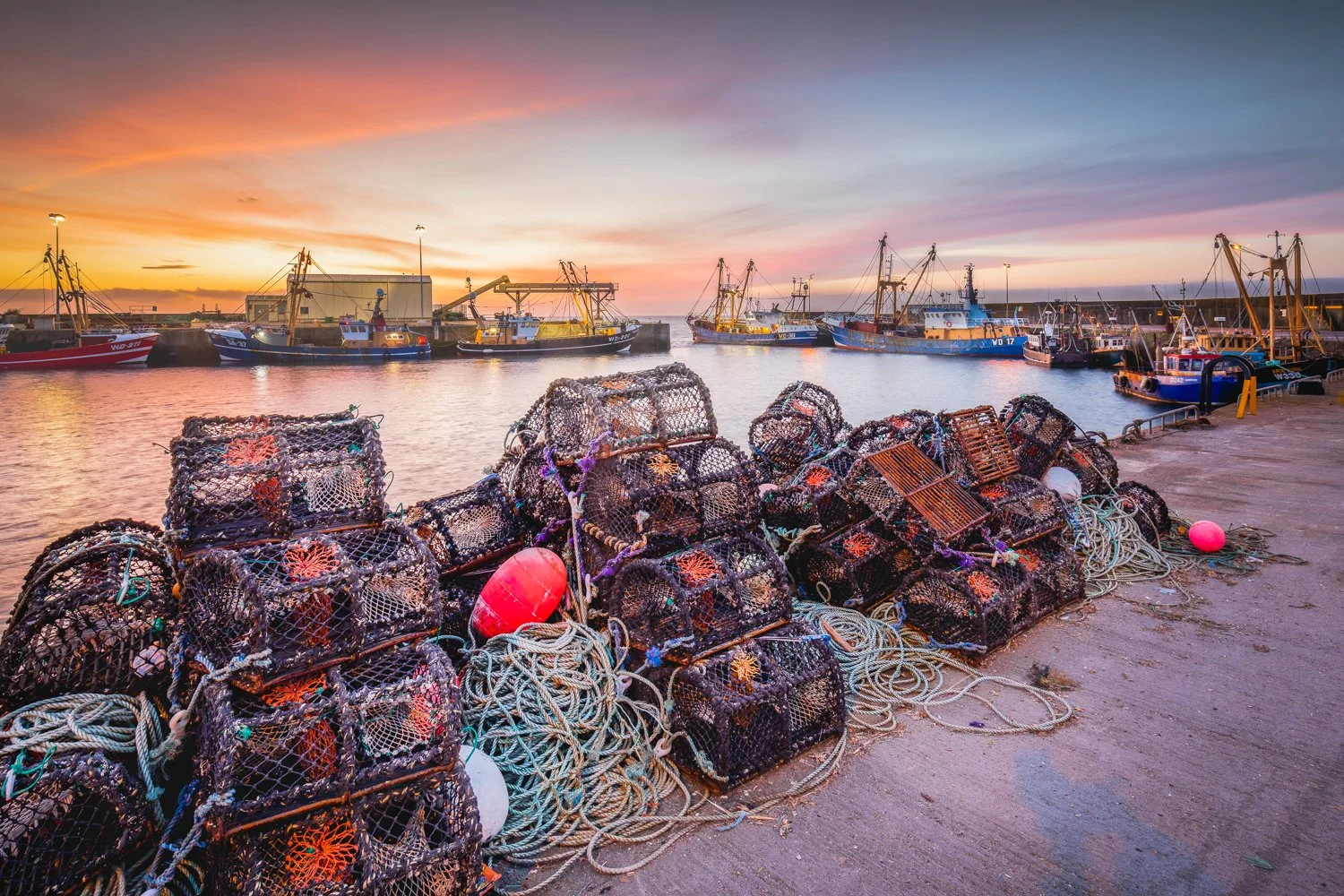 20190331-065255-_M7A6085 Master Final.jpg