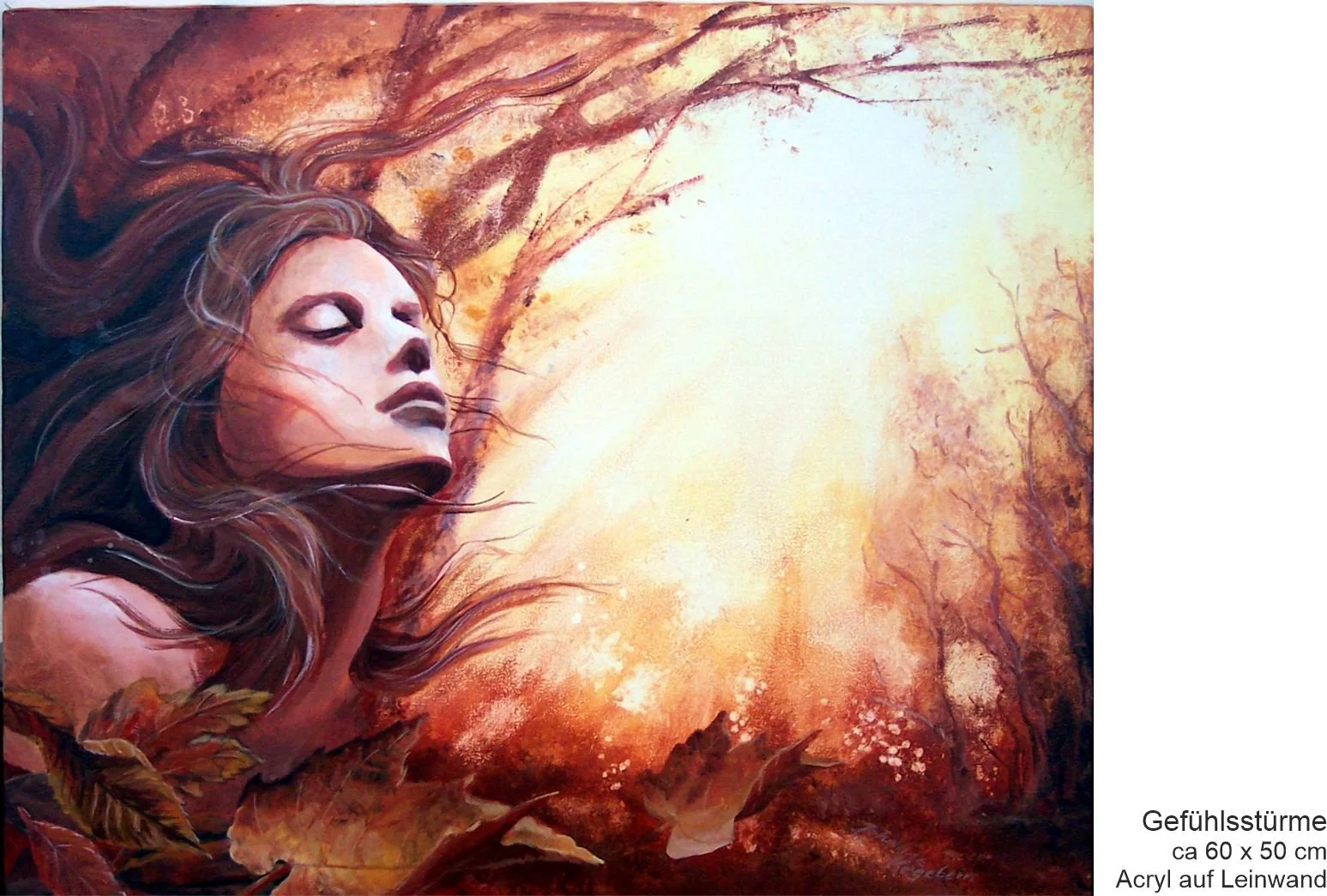 XGefühlsstürme.jpg