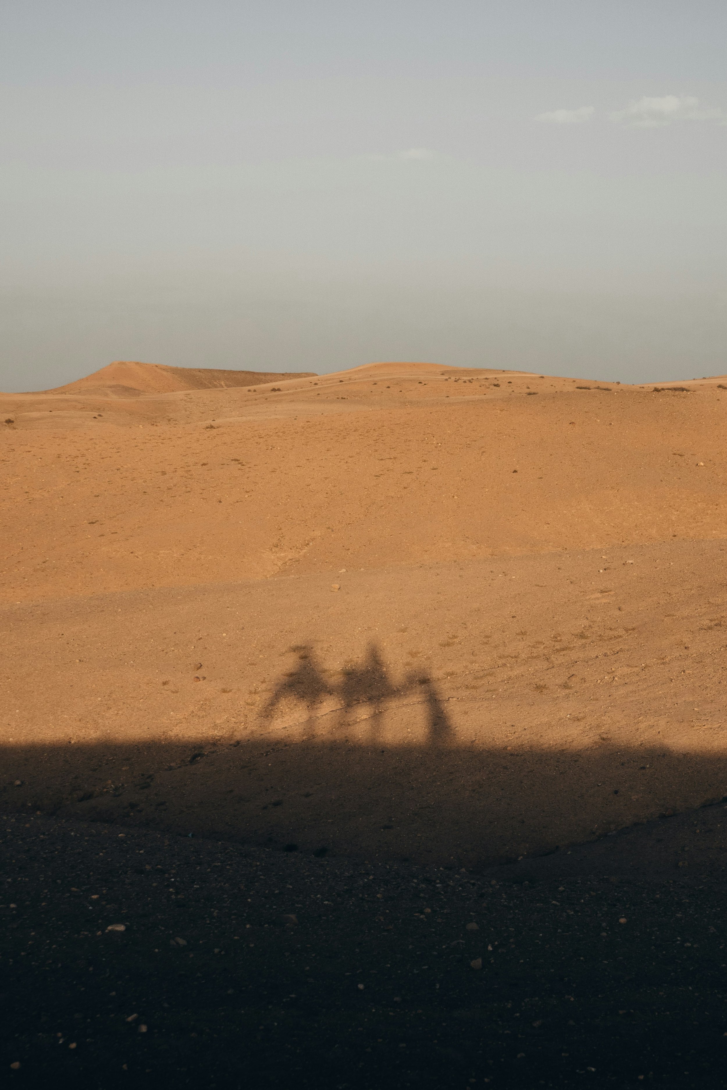 砂漠の風景と馬の馬車の影