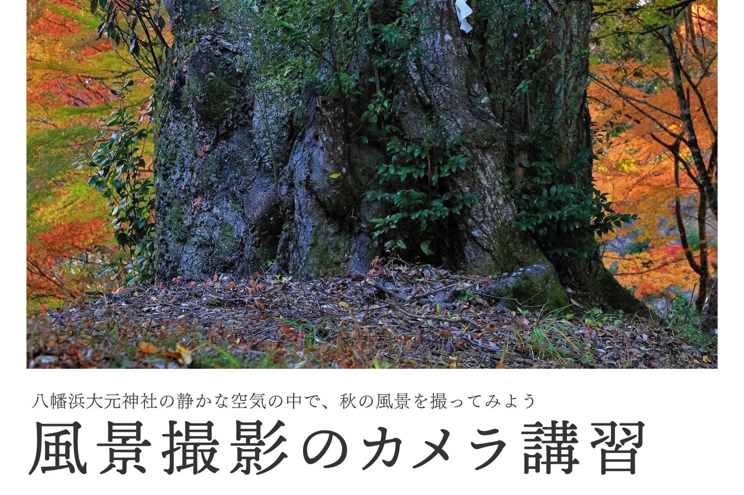 Vol.6 風景撮影のカメラ講習