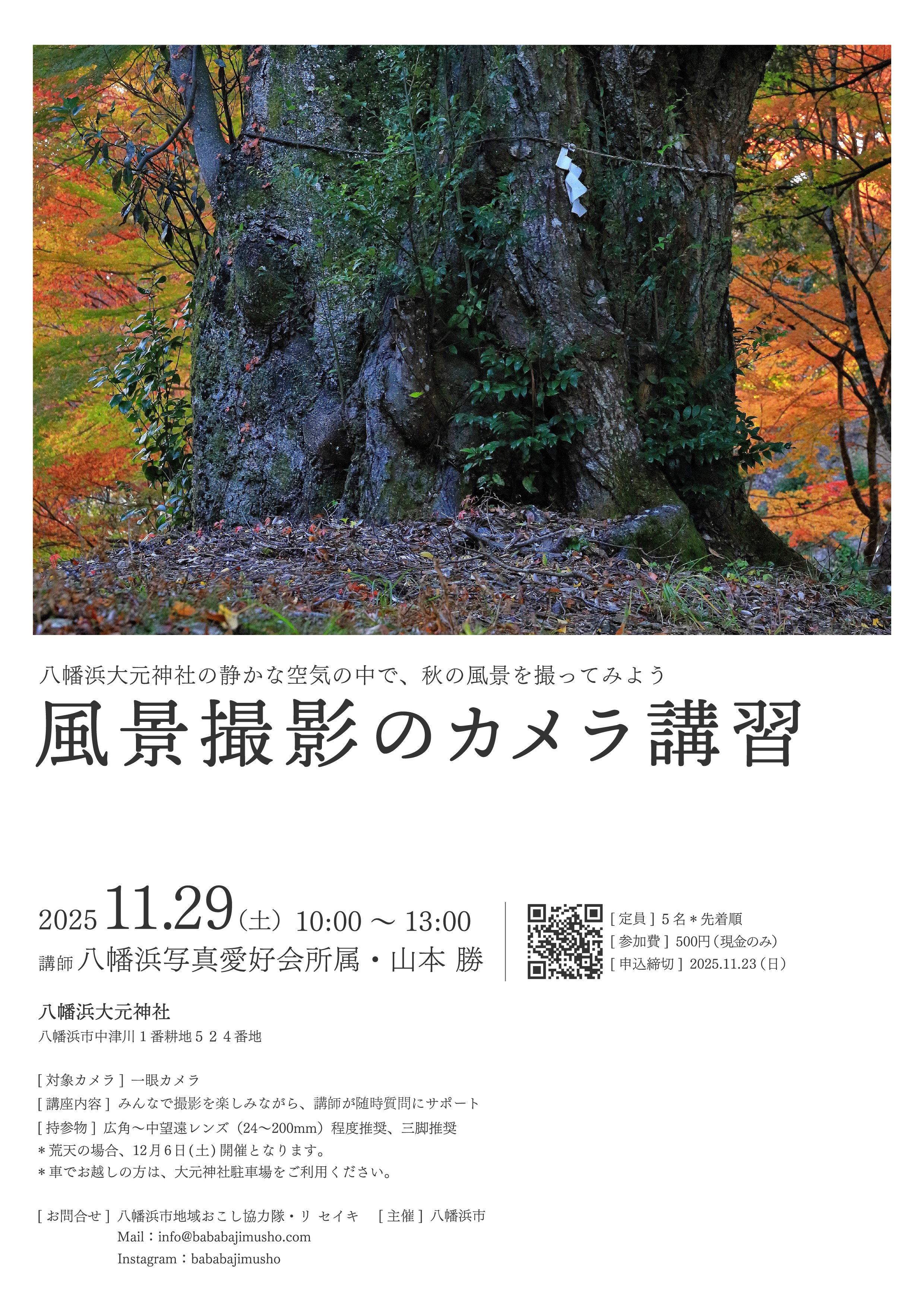 秋の紅葉と神社の大きな木