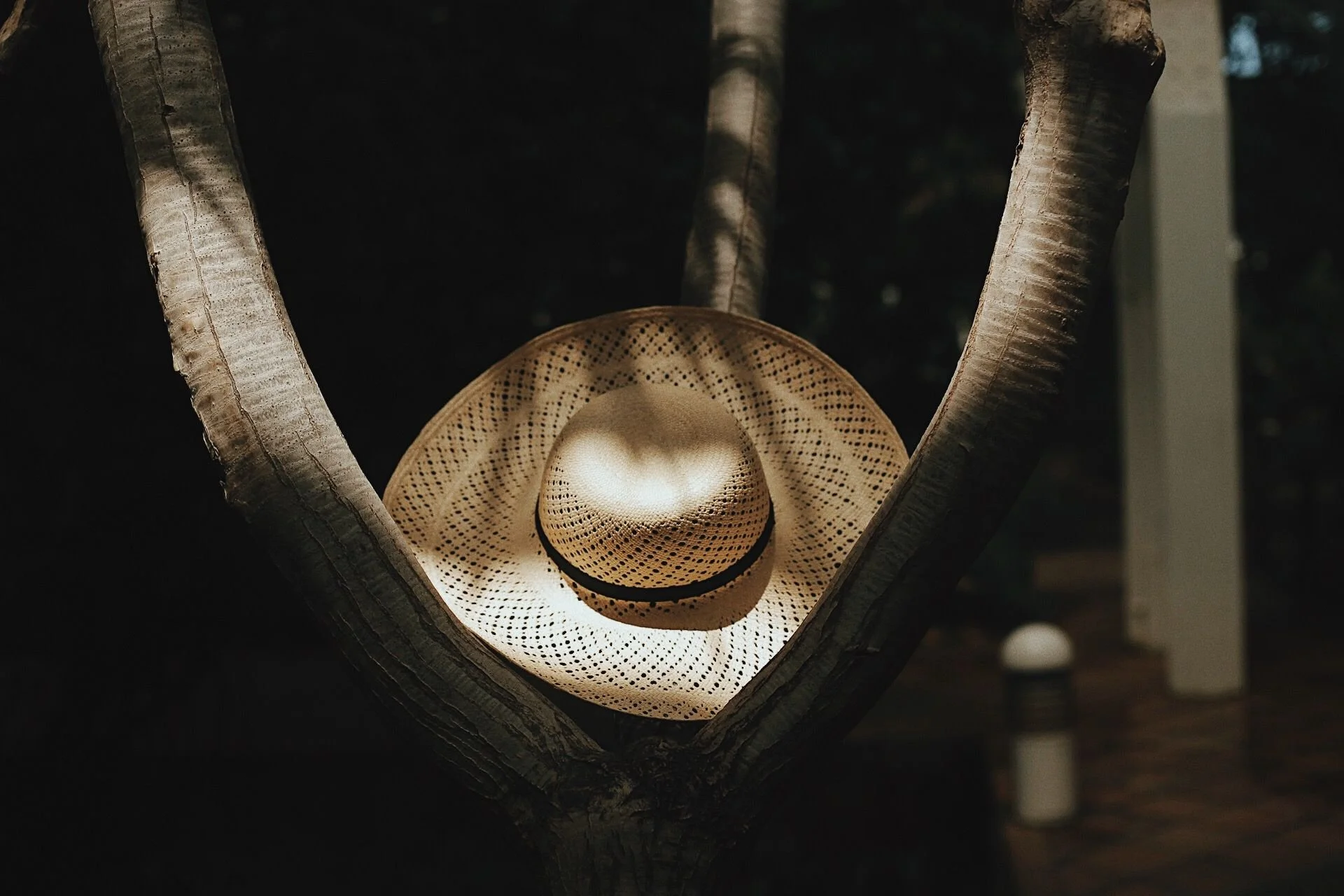 WhatsApp Image 2026-02-20 at 20.26.06 (5).jpeg