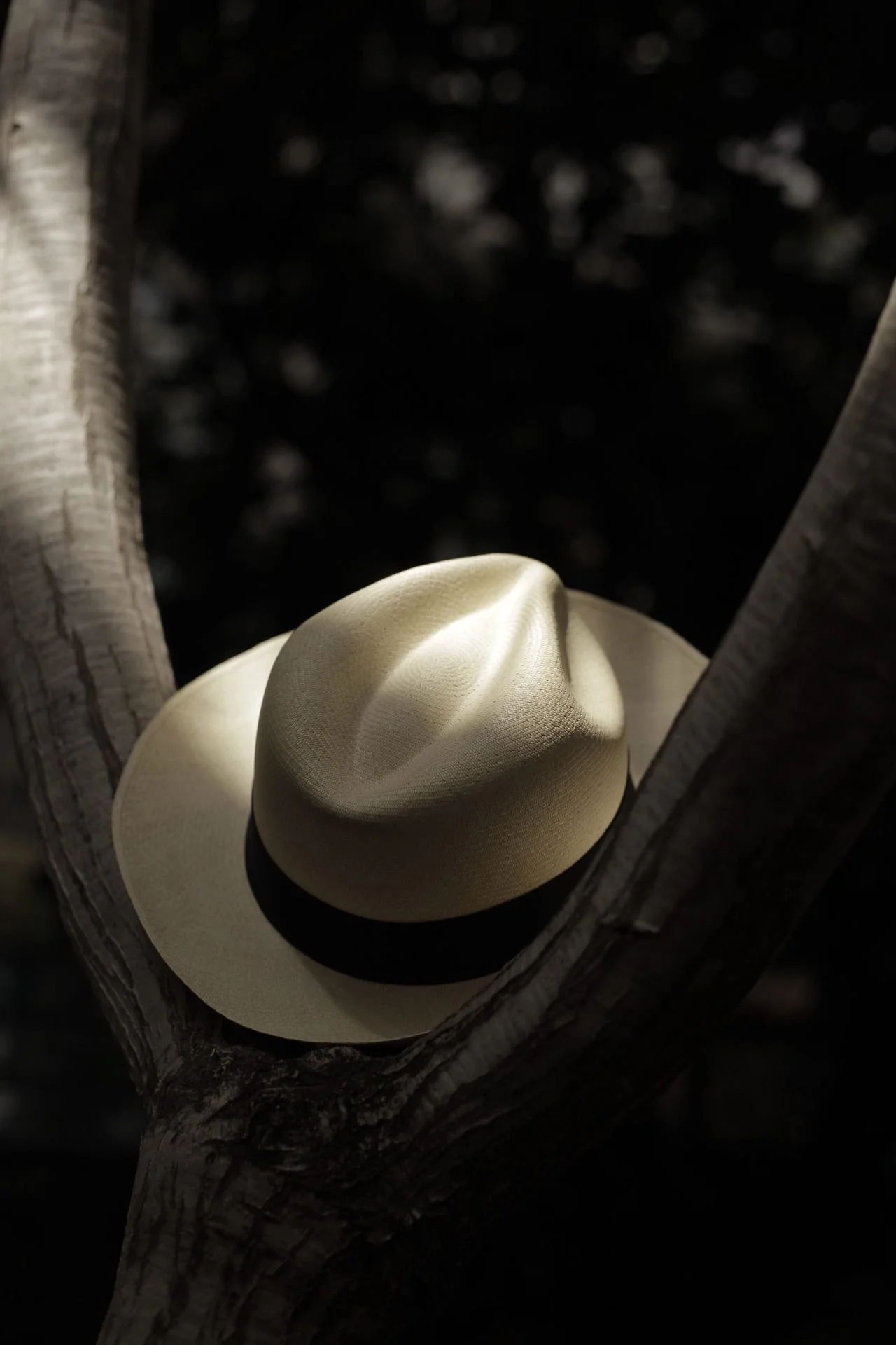 WhatsApp Image 2026-02-20 at 20.26.06 (1).jpeg