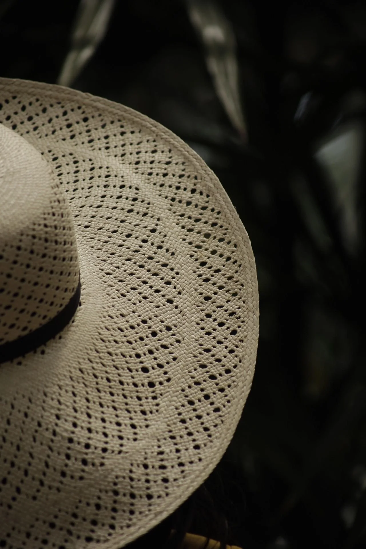 WhatsApp Image 2026-02-20 at 20.26.05 (2).jpeg