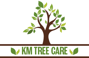 Logo of KM Tree Care featuring a tree with green leaves and branches, and the company name on a brown ground line.
