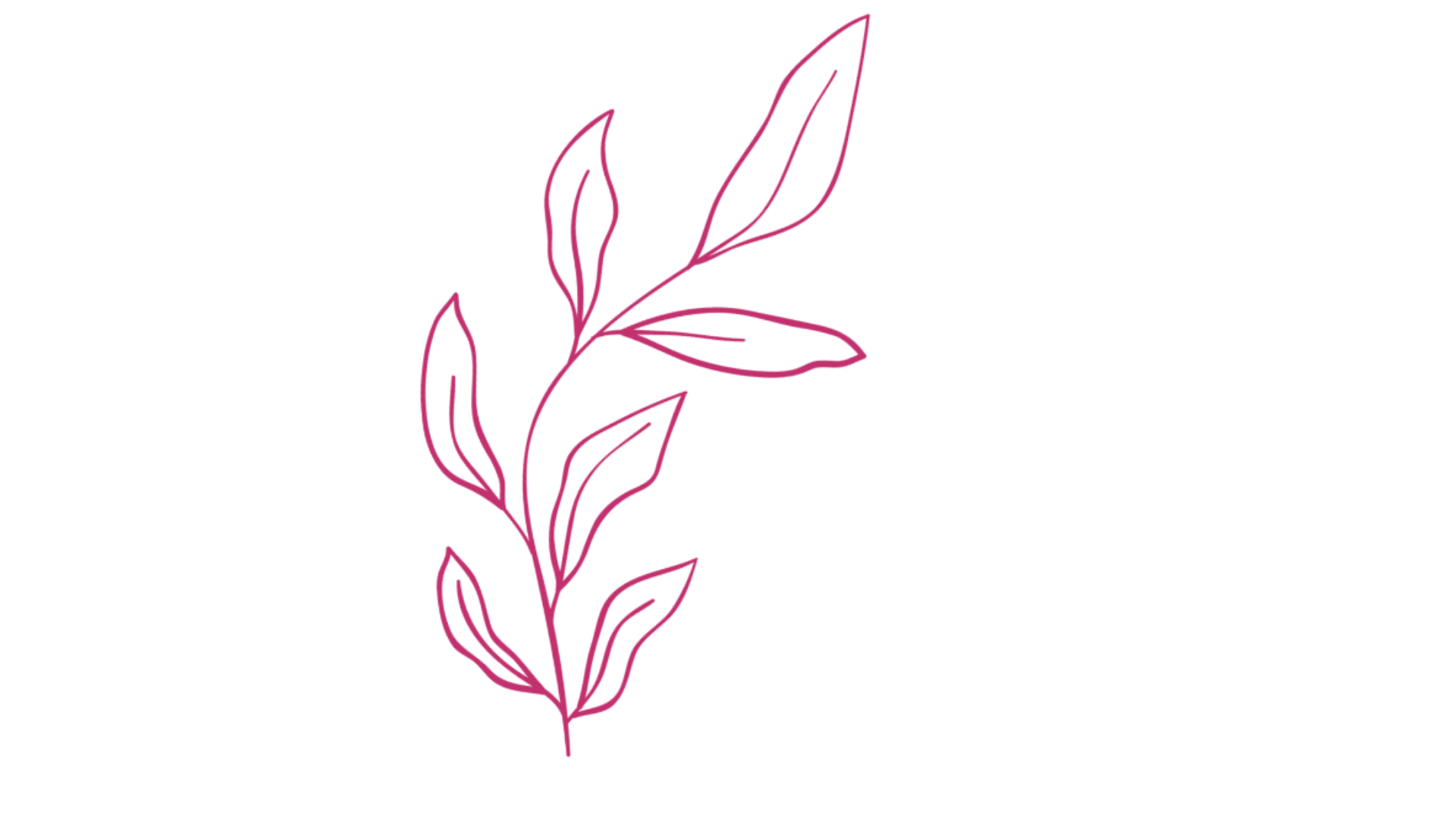 A simple line drawing of a sprig with several leaves, outlined in pink on a black background.