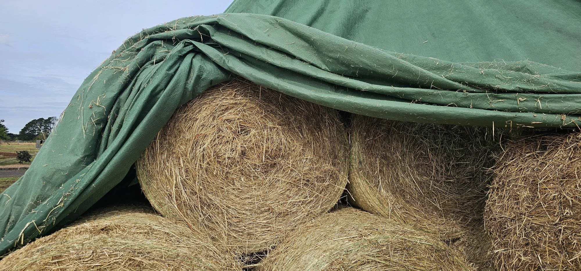 After 160mm of rain, our hay remained completely dry under Toptex® covers. These photos show just how effective Toptex® protection is in real conditions. Despite heavy rainfall, the hay underneath stayed in excellent condition, demonstrating the reli