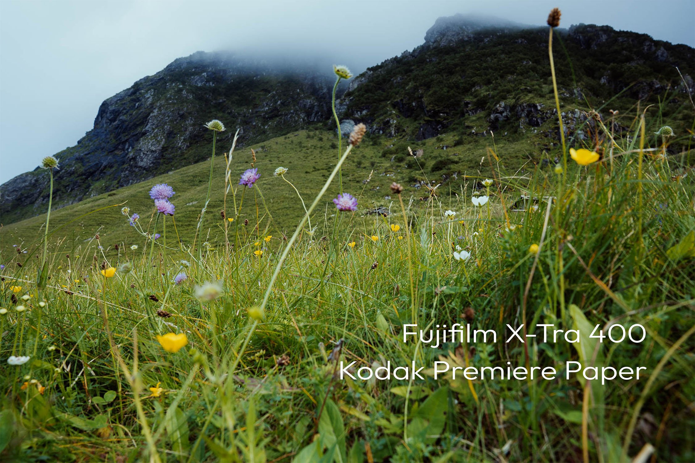Fuji X-Tra 400 - Kodak Premiere