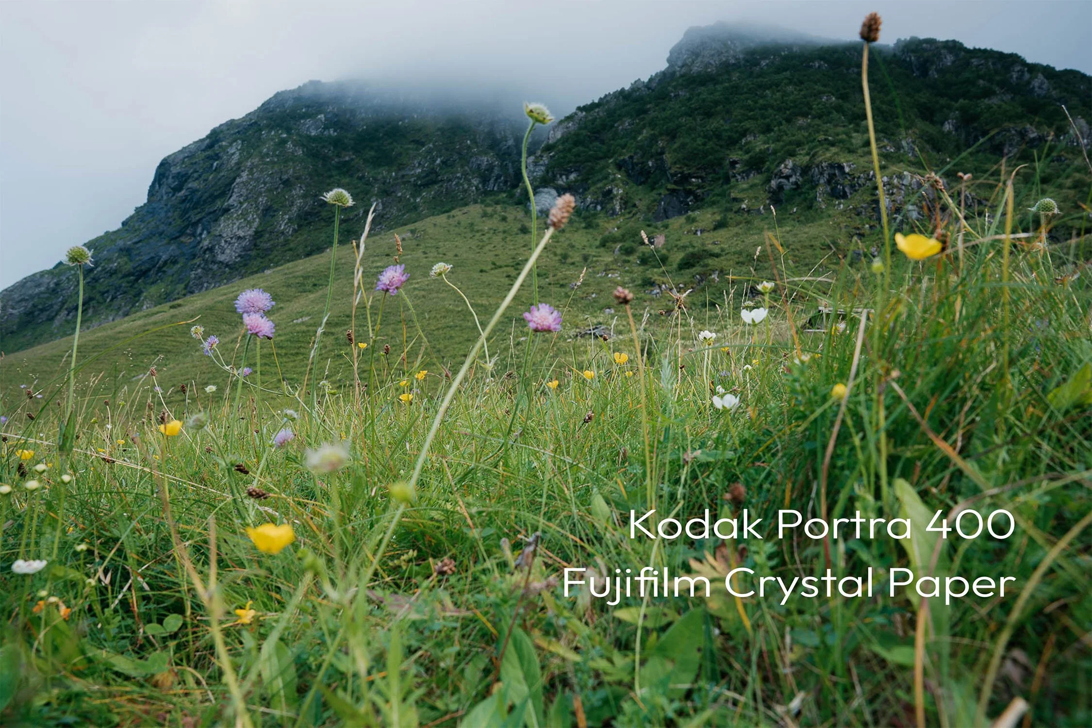 Kodak Portra 400 - Fuji Crystal
