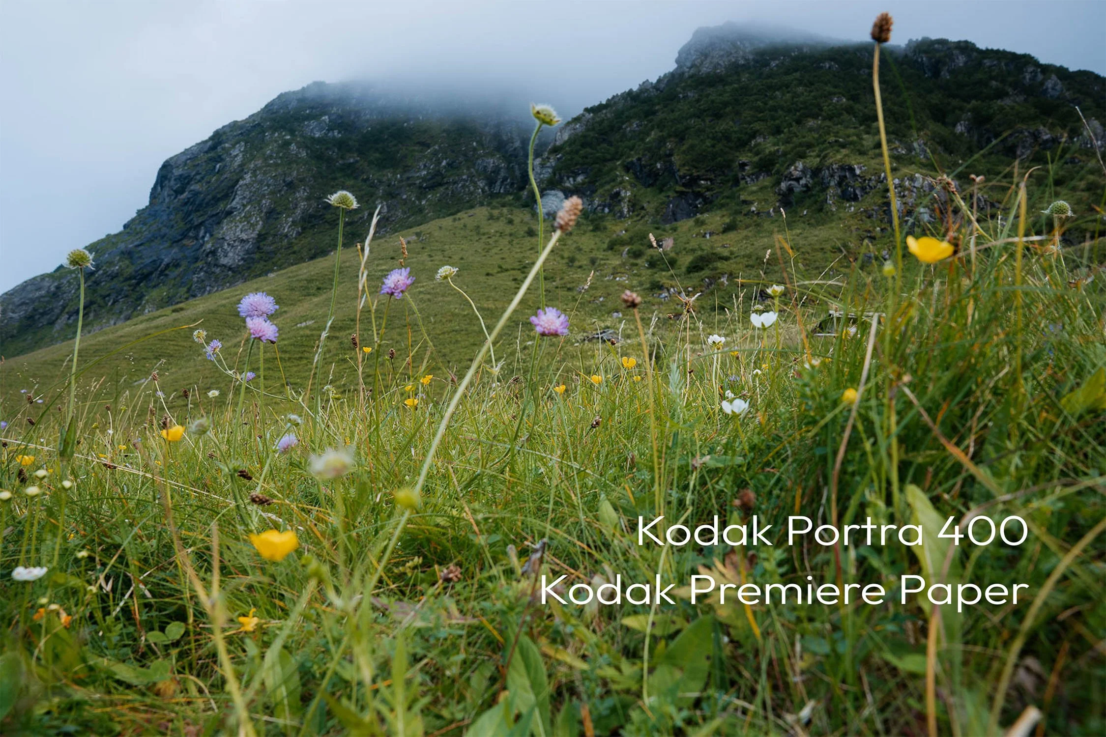 Kodak Portra 400 - Kodak  Premiere