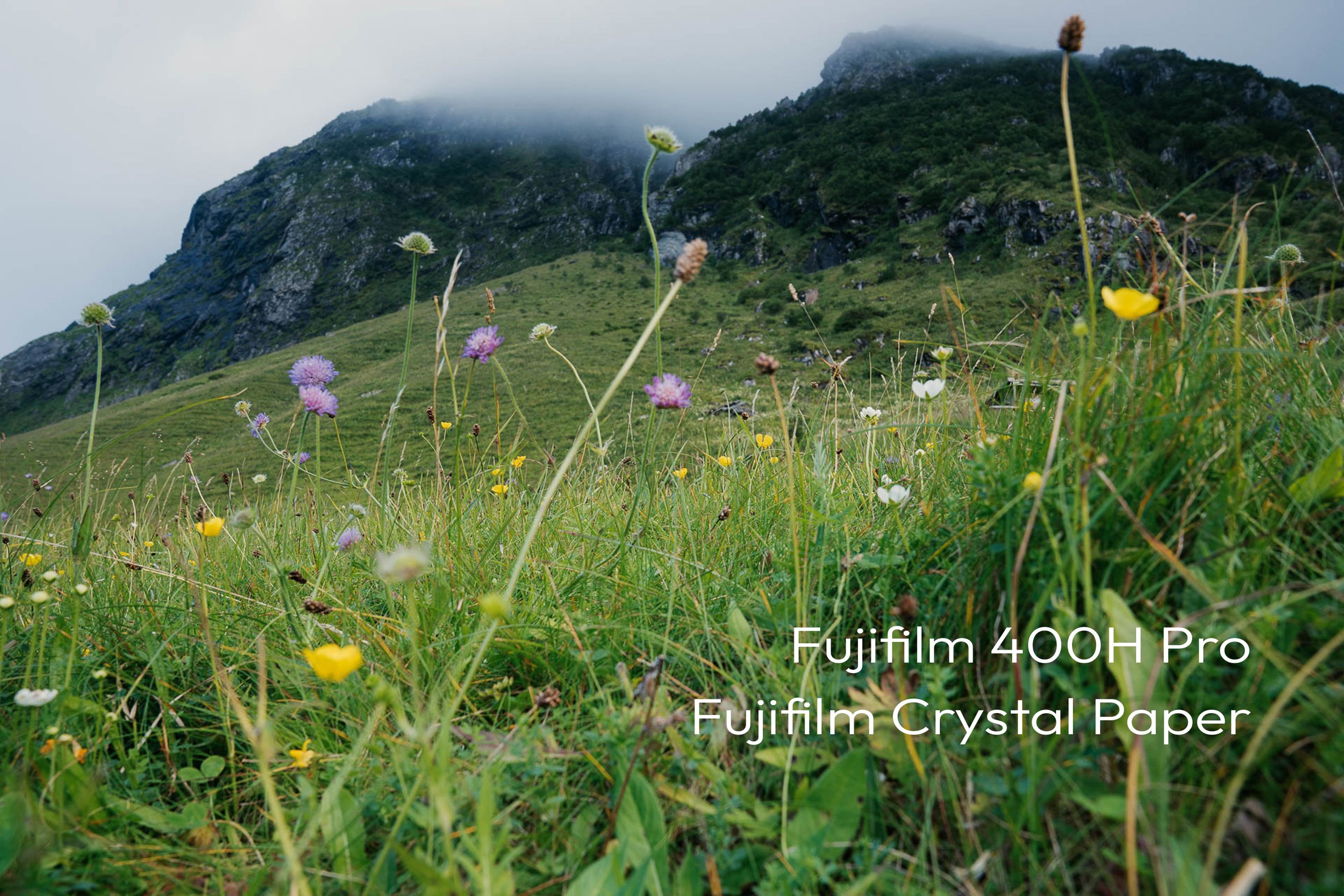 Fuji Pro 400H - Fuji Crysta