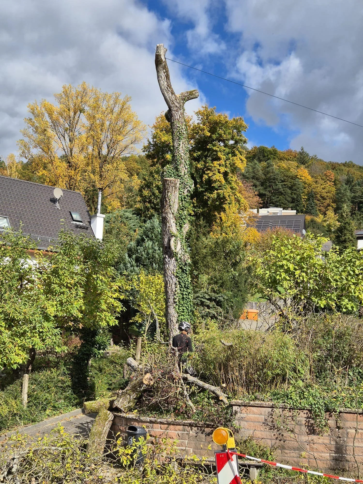 Ein großer umgestürzter Baum in einem Garten mit einer Person, die an dem Baum arbeitet. Es gibt einen Zaun, ein Geländer, um den Garten herum, und einen Baum mit gelben Blättern im Hintergrund. Der Himmel ist teilweise bewölkt.