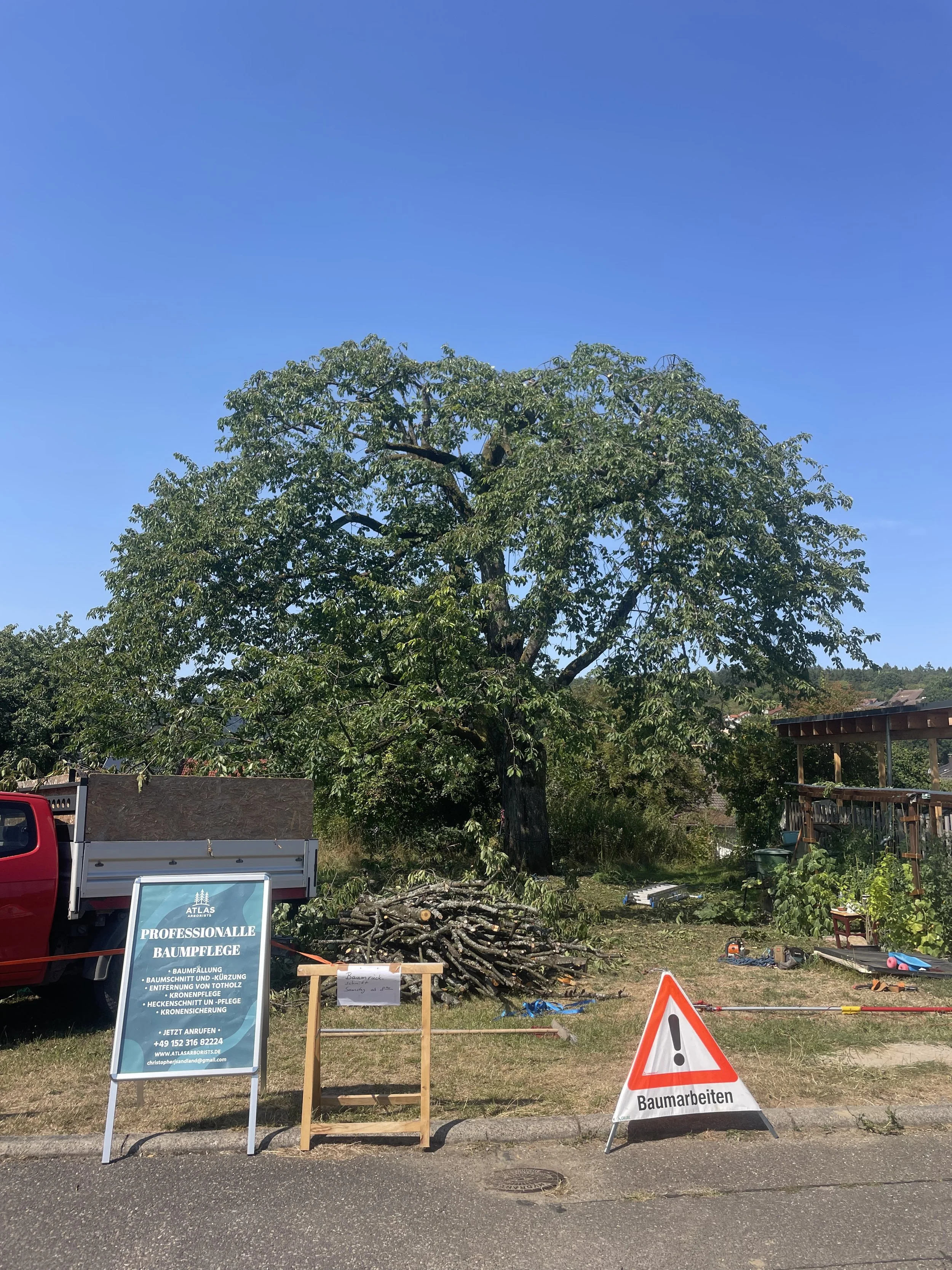 Rückschnitt von Kirschbaum: Wiesenbach
