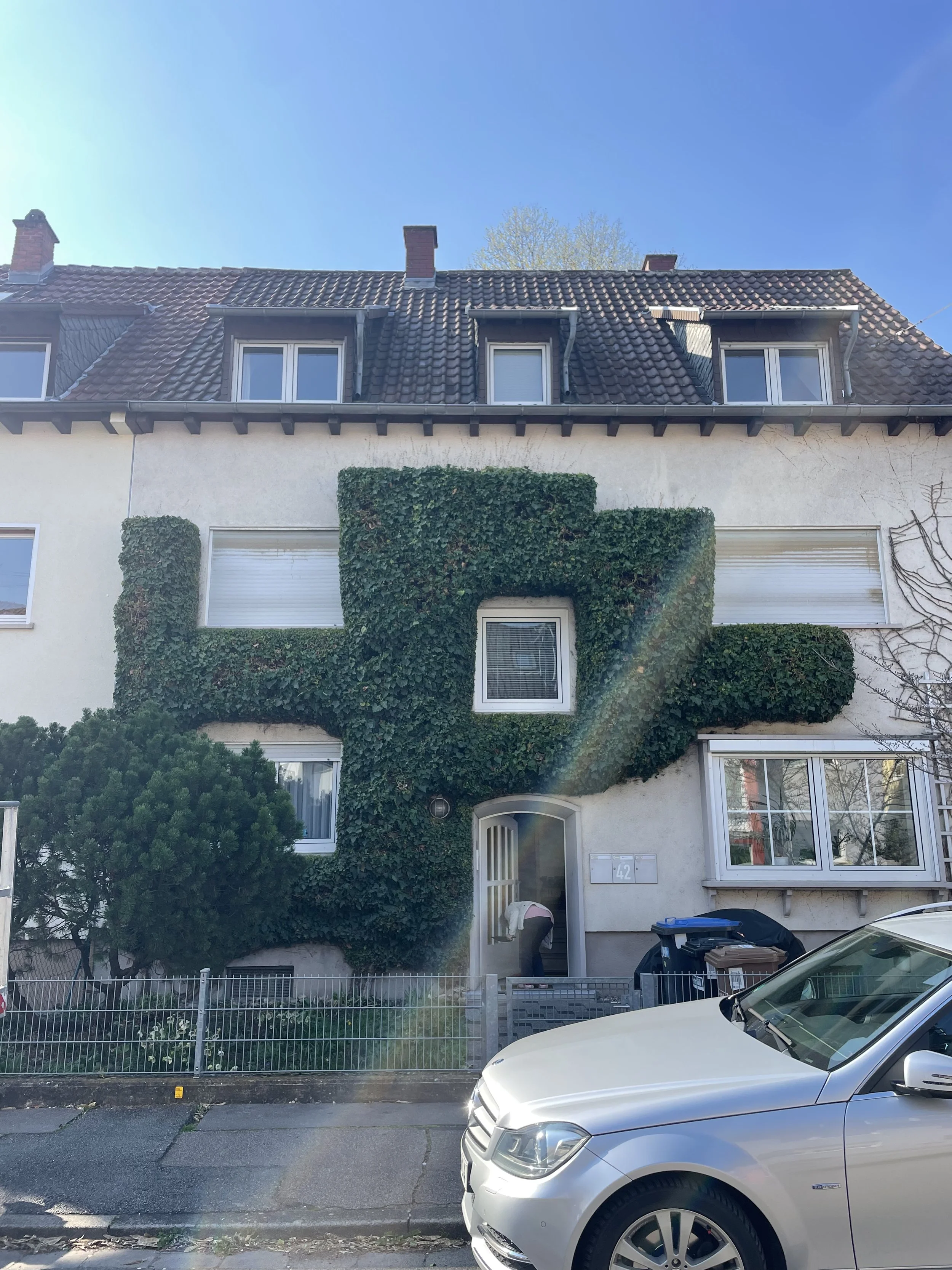 Historischen Efeuhecke