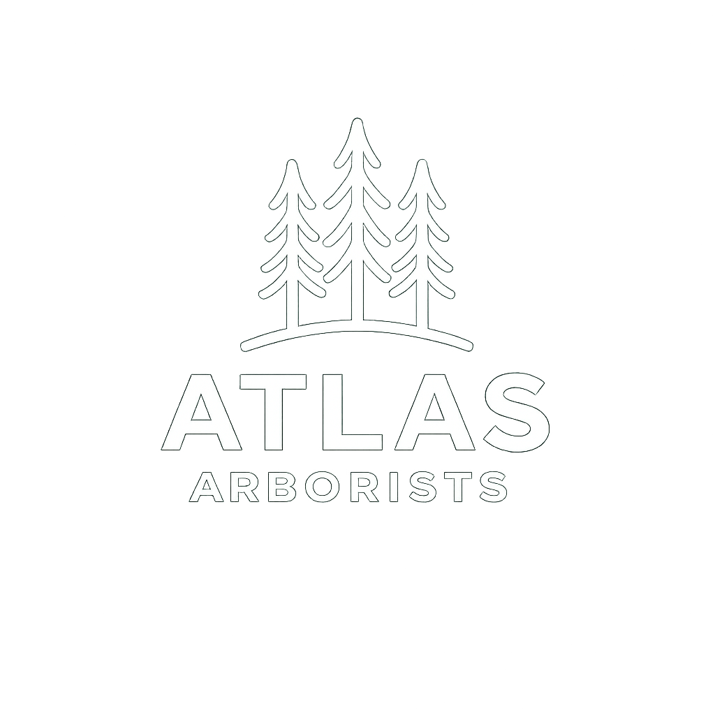 Leuchtendes Logo mit drei Bäumen und dem Text 'ATLAS ARBORISTS'.