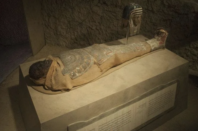 Bodies Bodies Bodies