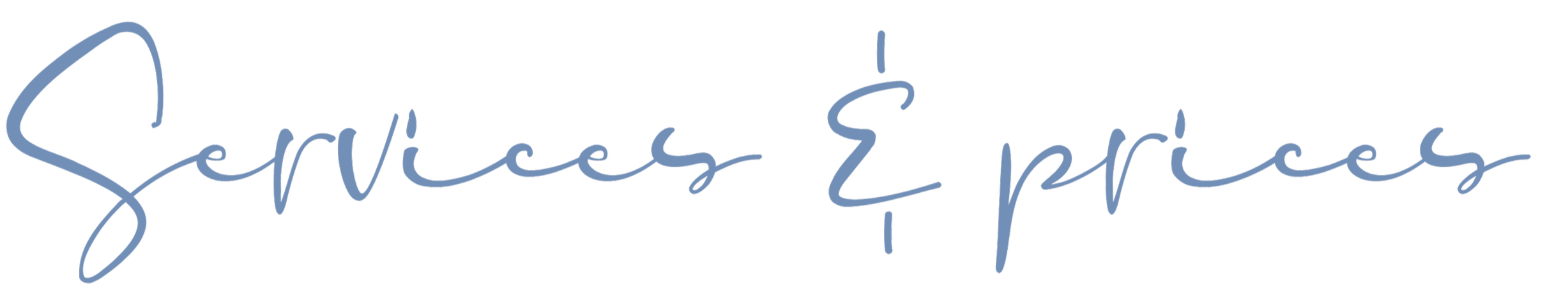Logo with the words "Services & Prices" written in a cursive, blue font.