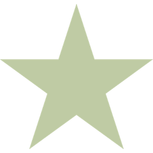 A light green five-point star against a black background.