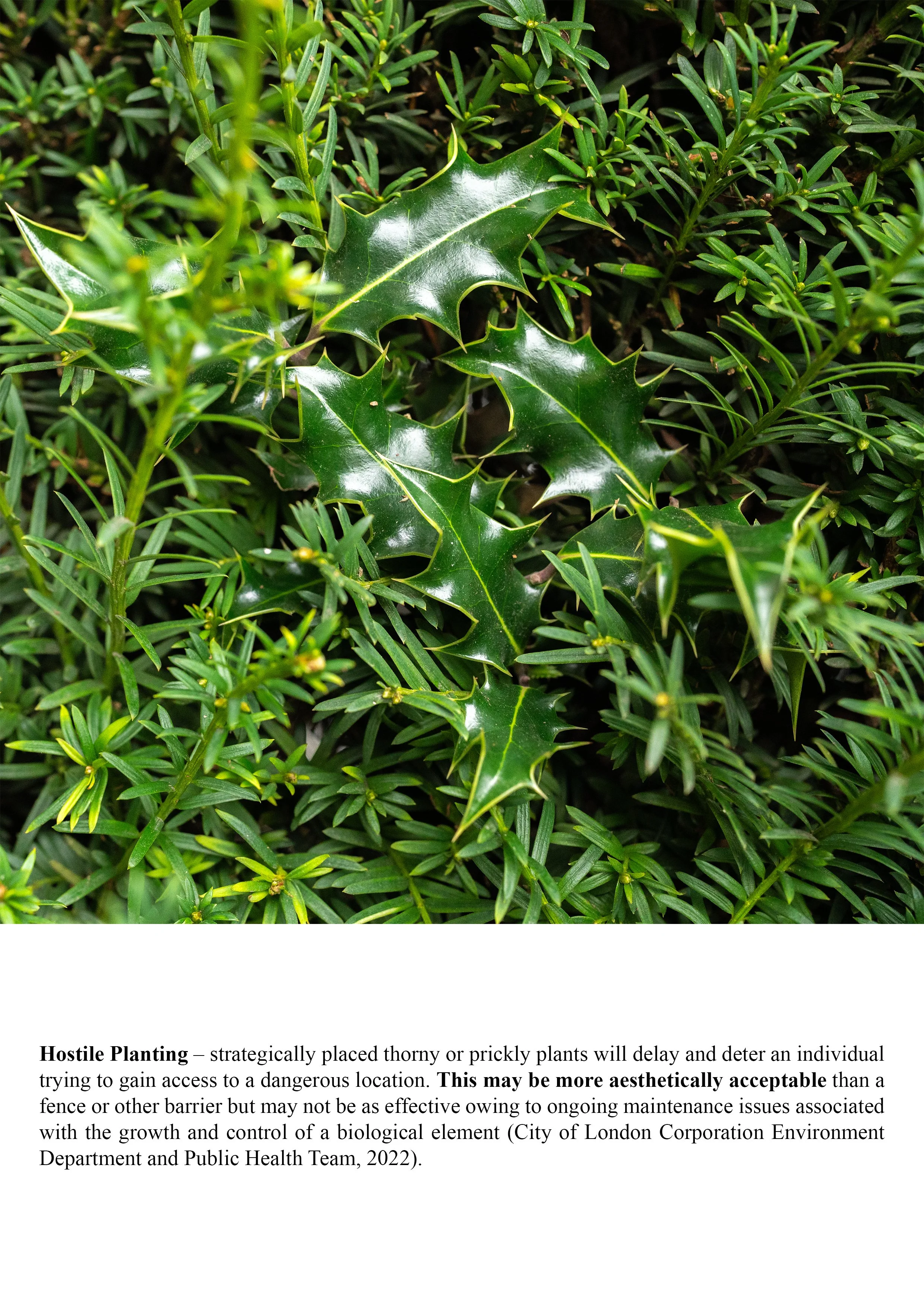 reaction prevention-08.jpg