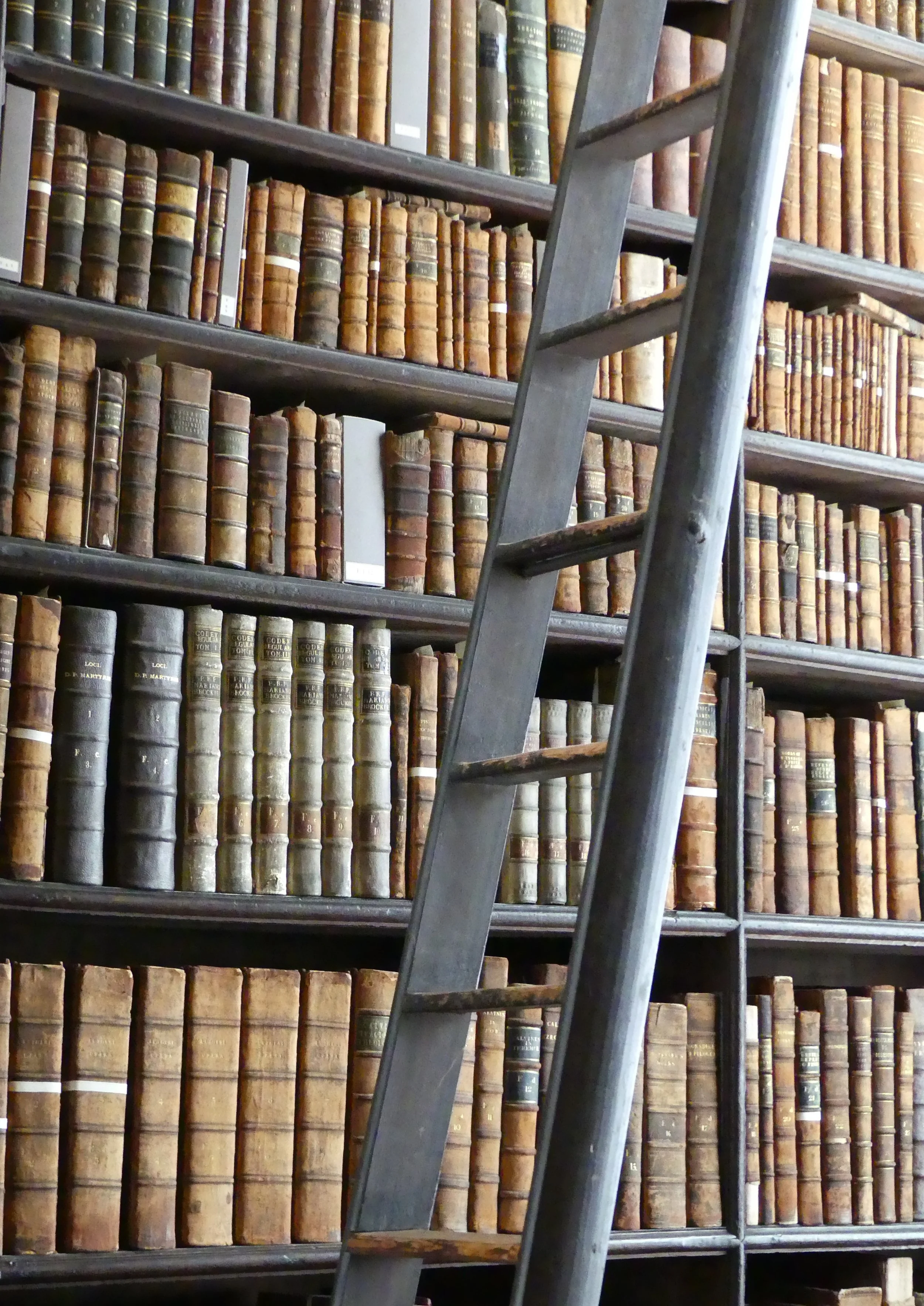 Una escalera apoyada contra altas estanterías llenas de libros antiguos encuadernados en cuero.