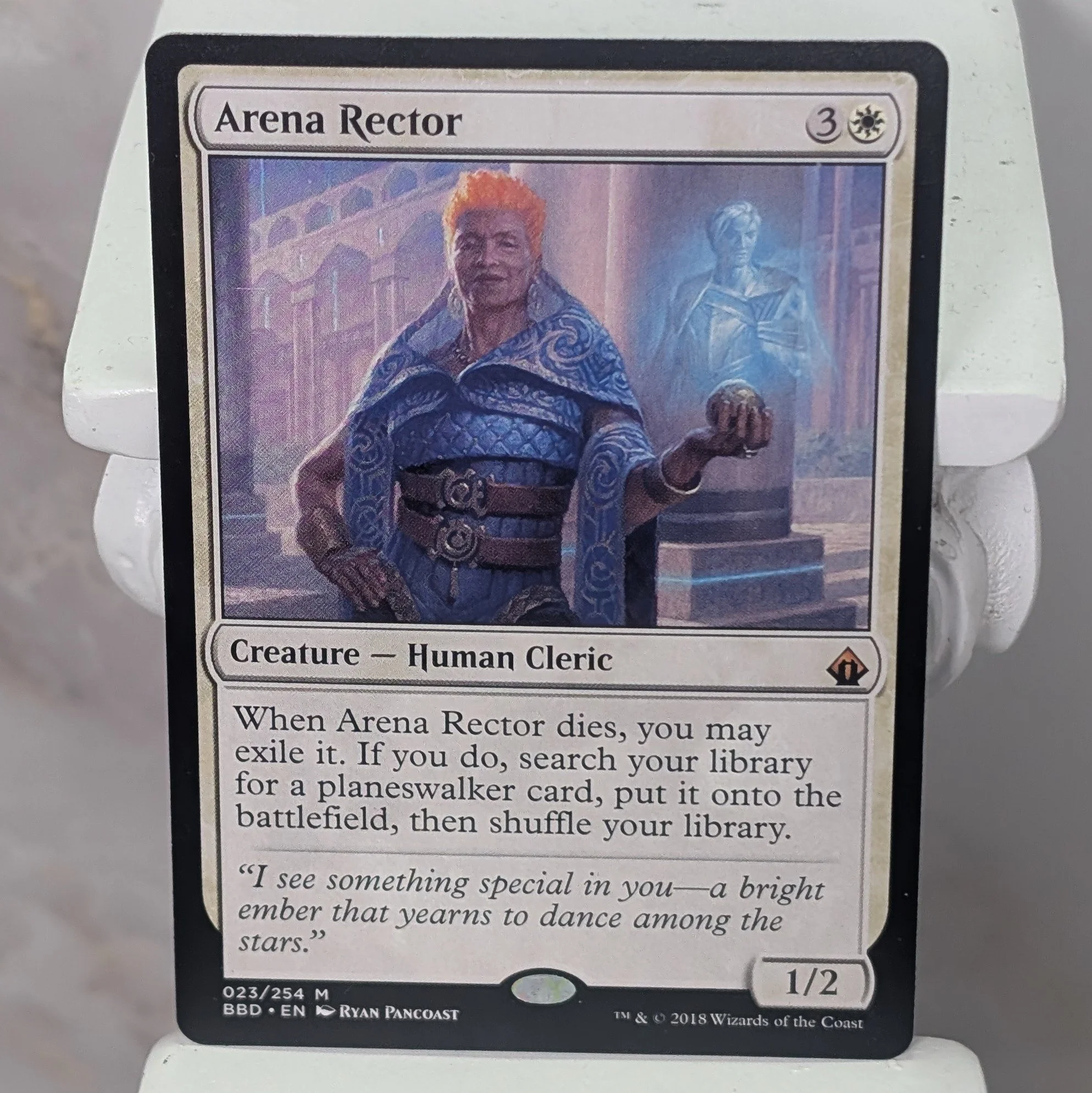 Arena Rector
