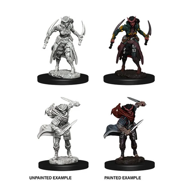 WizKids - D&D Nolzurs Marvelous Miniatures: Tiefling Female Rogue - Wave 7