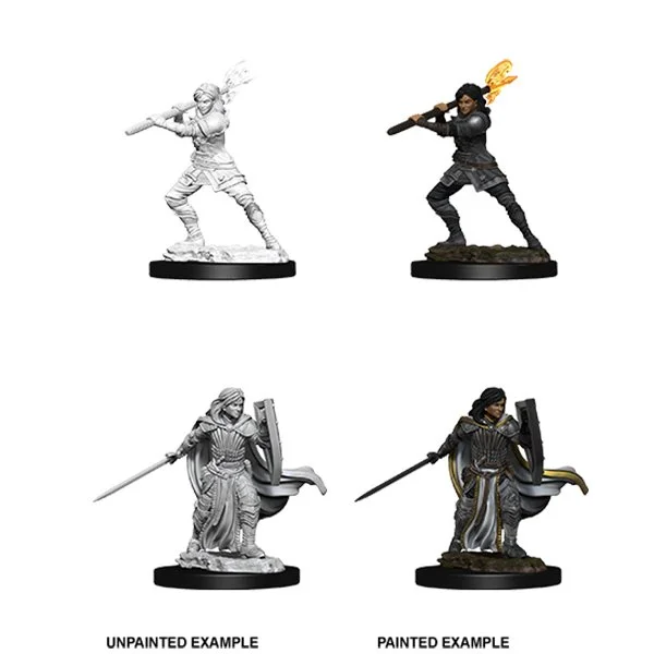 Wizkids - D&D Nolzurs Marvelous Miniatures: Female Human Paladin - Wave 10