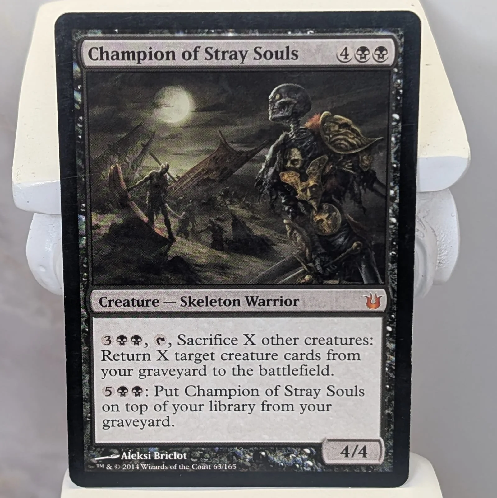 Champion of Stray Souls