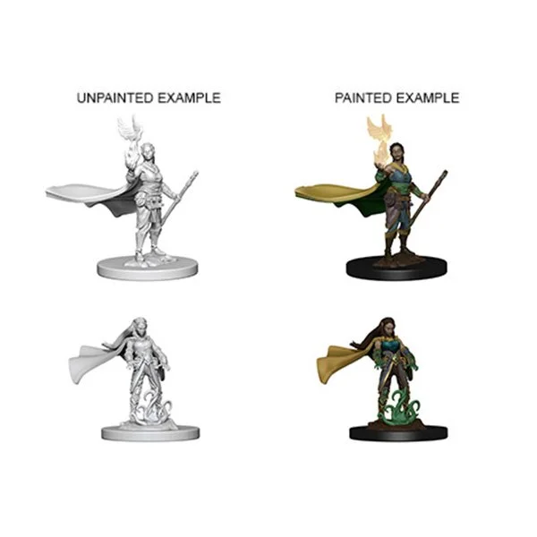 WizKids - D&D Nolzurs Marvelous Miniatures: Elf Female Druid - Wave 4