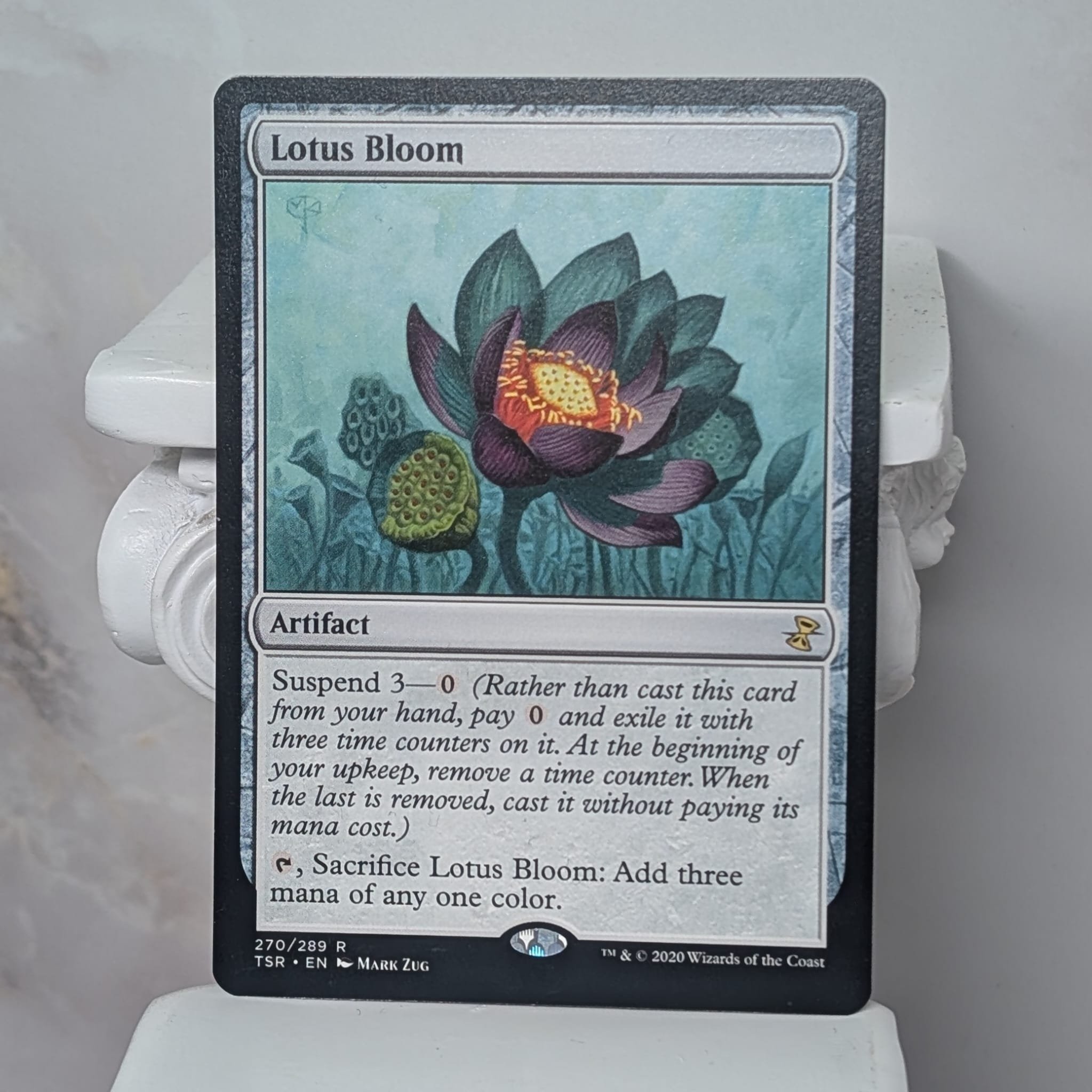 Lotus Bloom