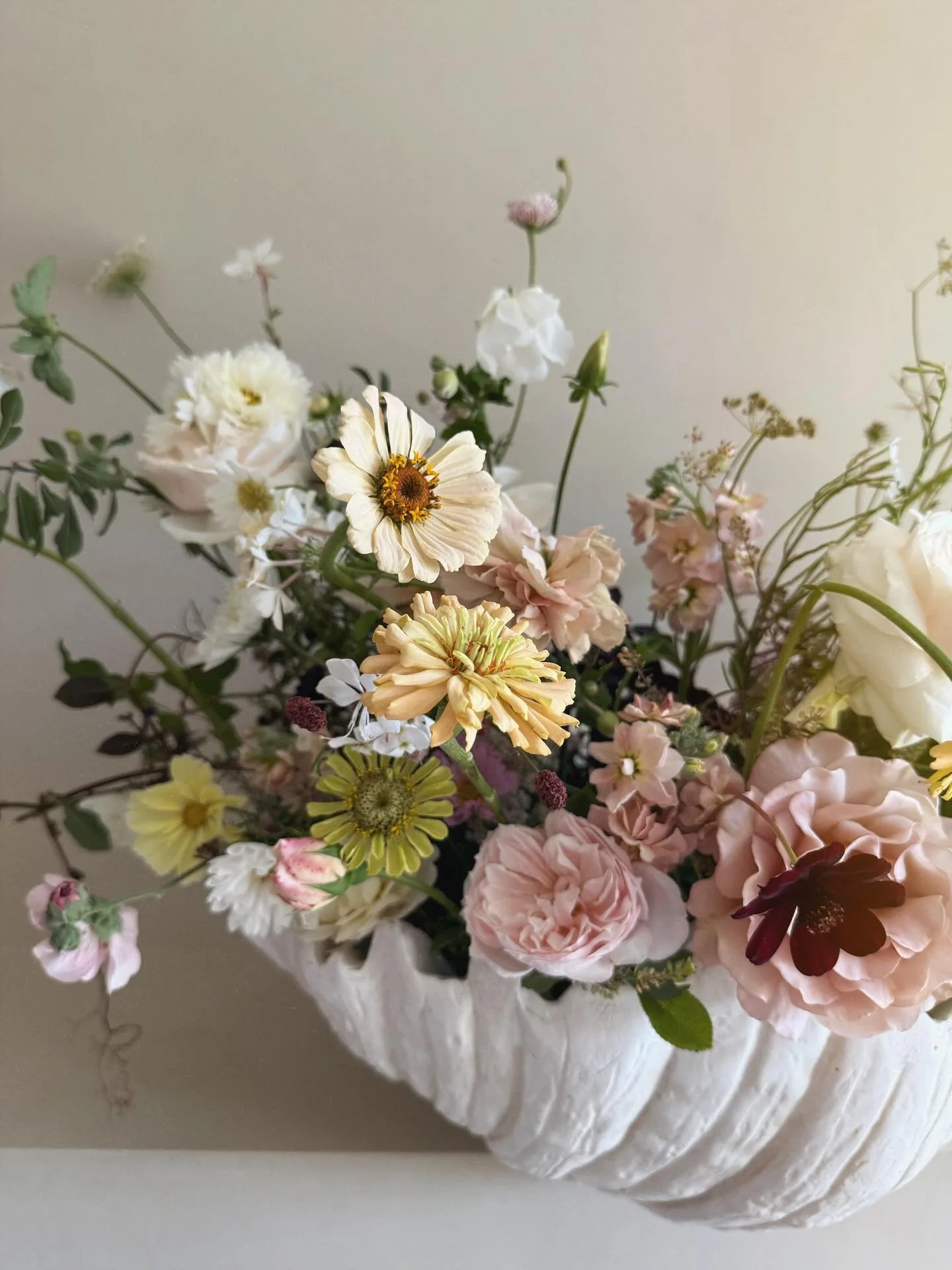 As I come in from the bitterly cold wind, I&rsquo;m scrolling through images for my new website and remembered how much I loved this shell bowl full of September flowers. And how warm it was outside. The zinnias were in full bloom, chocolate cosmos d