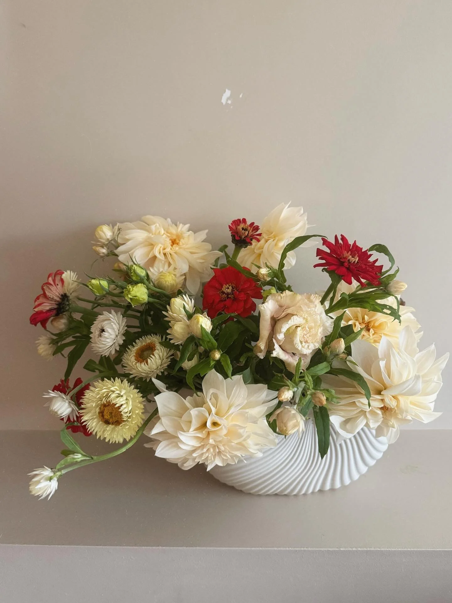 November flowers! Are you kidding me?? This mild weather is wild. One last floral swan song before the first frost of 2025 on Tuesday || fresh greens, creamy blush &amp; pops of red - Christmas, but make it romantic 🫶🏻 | Cafe au lait | zinnia | str