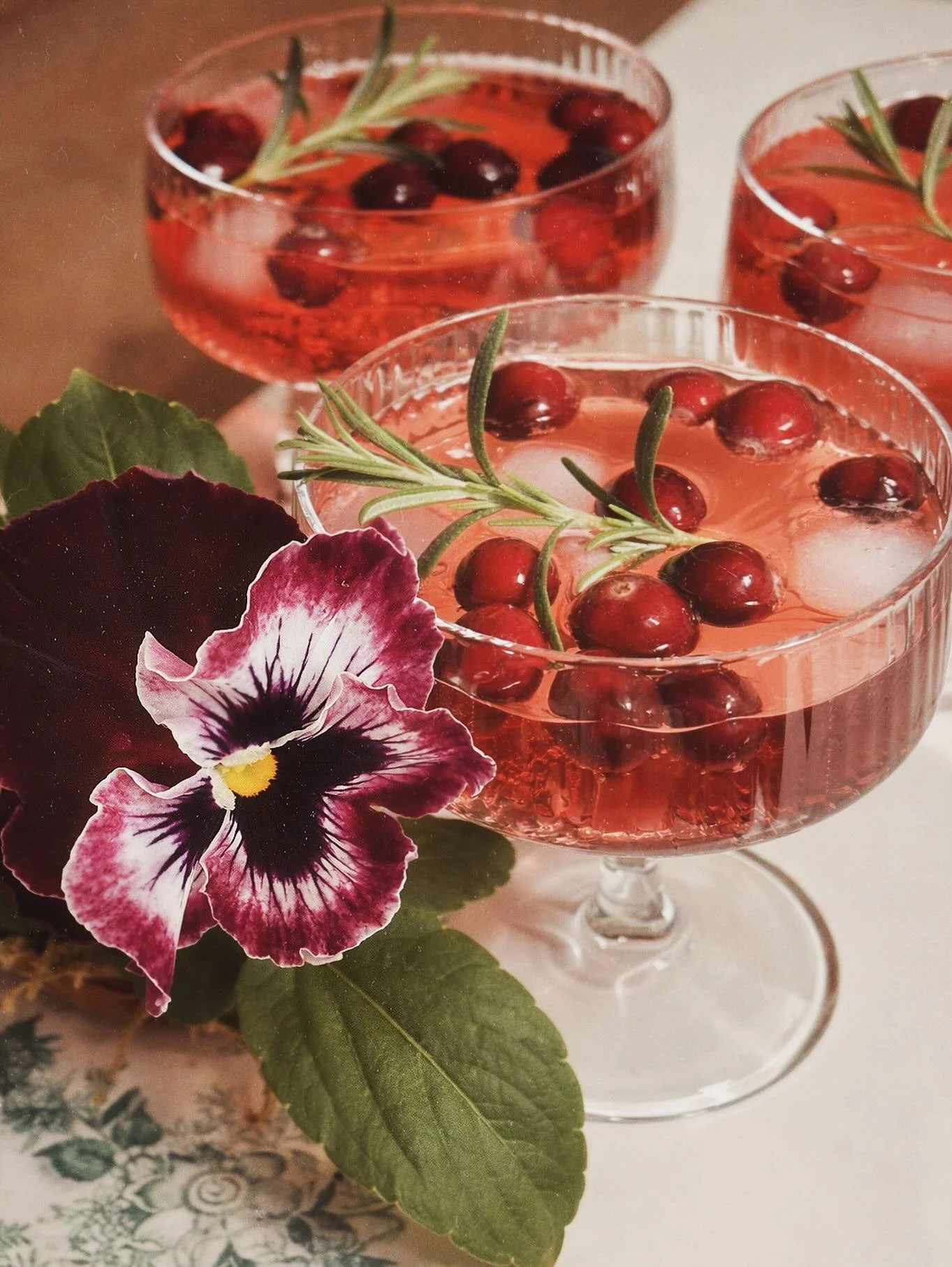 M e r r y  C h r i s t m a s  to flower growers, florists, creatives, friends - old, and new, and all your families! As I reflect on this past year of growing cut flowers for incredible creatives, my biggest takeaway is the gratitude I have for so ma