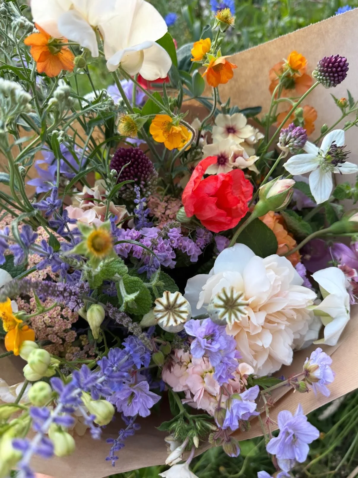 January || The Reset || when it&rsquo;s so cold and dark, it can feel impossible to look forward to what will come. When the morning light peeks through the shutters, or the first spring bulbs emerge defiant and fresh; when we slowly peel off the lay