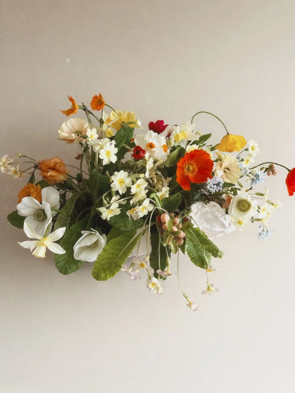 S p r i n g  M e a d o w || in a giant shell 

I made this spring bowl on Friday to celebrate the official First Day of Spring, and then - Classic ME - promptly forgot to post it 🤪

Ingredients: 
Orange fancy daffs (petals removed) 
Wild primrose (c