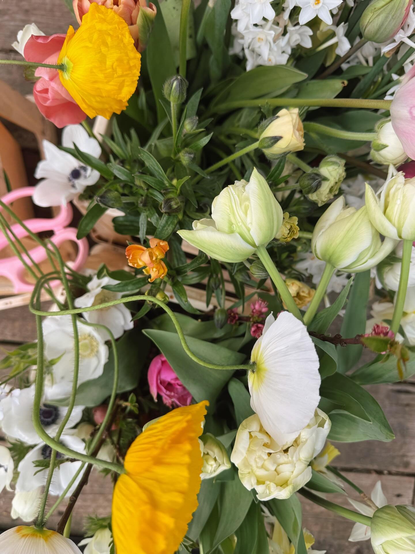 @littlepinkgarden + @theprairie.edit 👯&zwj;♀️ || brunch, daffs, cats &amp; a glimpse of sunshine before the hail (F***ing HAIL!) started. March, you tricksy little witch, keeping us on our toes! 🌧️ ☀️ 🌪️ flower farming is hard enough on the best o