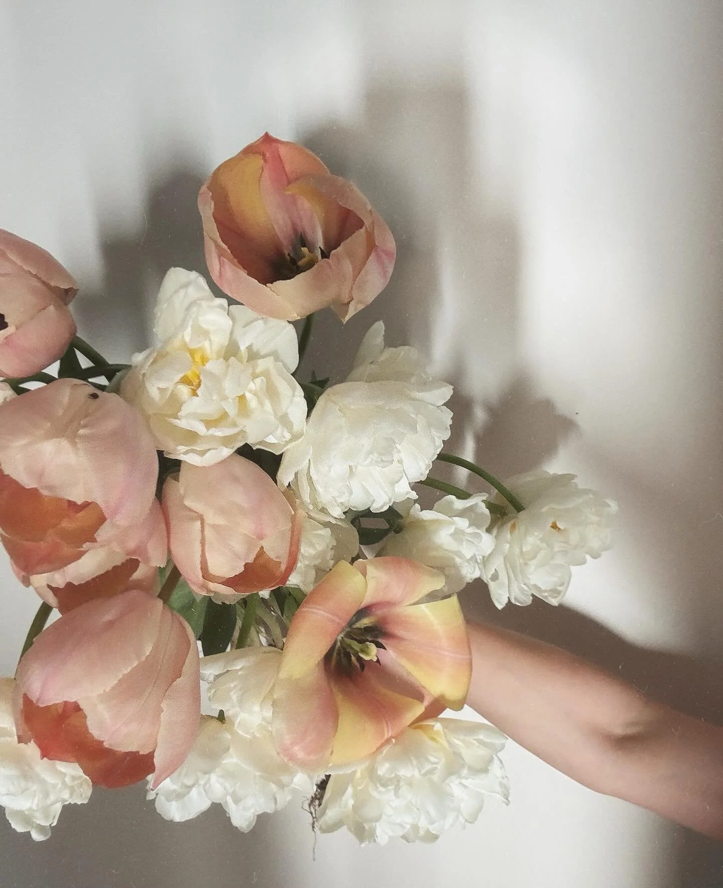 Spring bulbs that behave like blousy peonies? YES PLEASE! Another reason it&rsquo;s more important to have a MOOD &hellip; a PALETTE &hellip;. A VIBE &hellip; for your wedding or event flowers, rather than a specific flower in mind. If it&rsquo;s a b