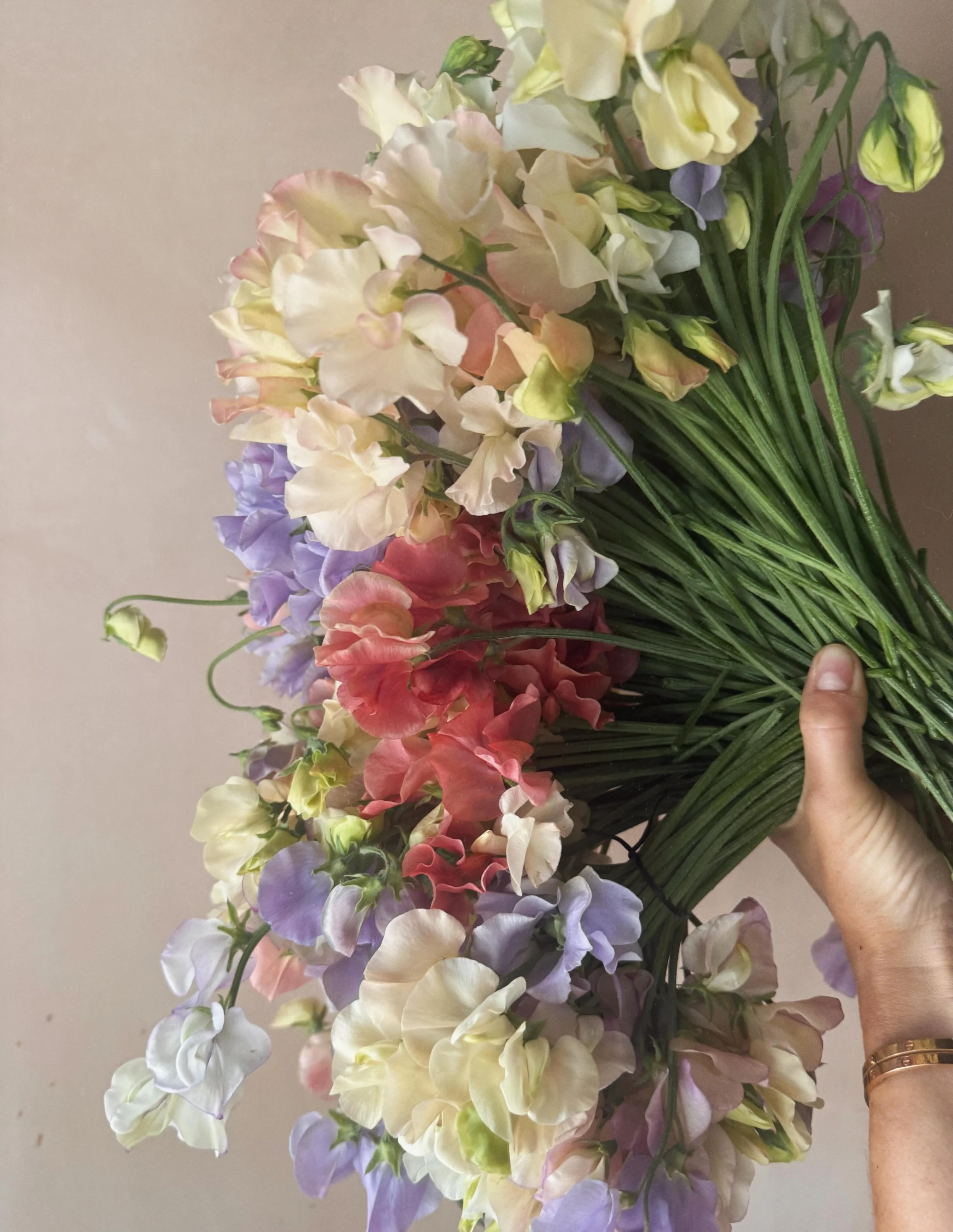 300 sweet peas for an event order || the SCENT 🤤 || my faves, Castlewellan &amp; Kings Ransom, made The Cut 🎈