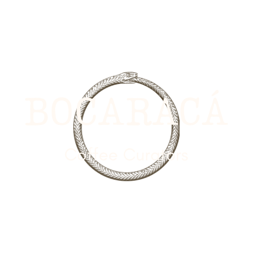 Bocaracá coffee curators