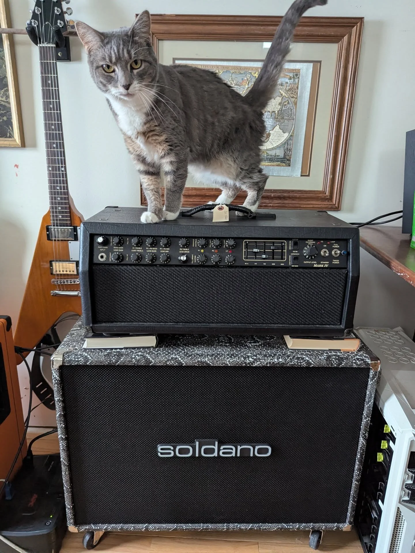 Hey y'all, my schedule is open to take on more guitar and amp repair projects! Send me a DM or text 585-721-0256 to schedule an appointment. Cat for attention.