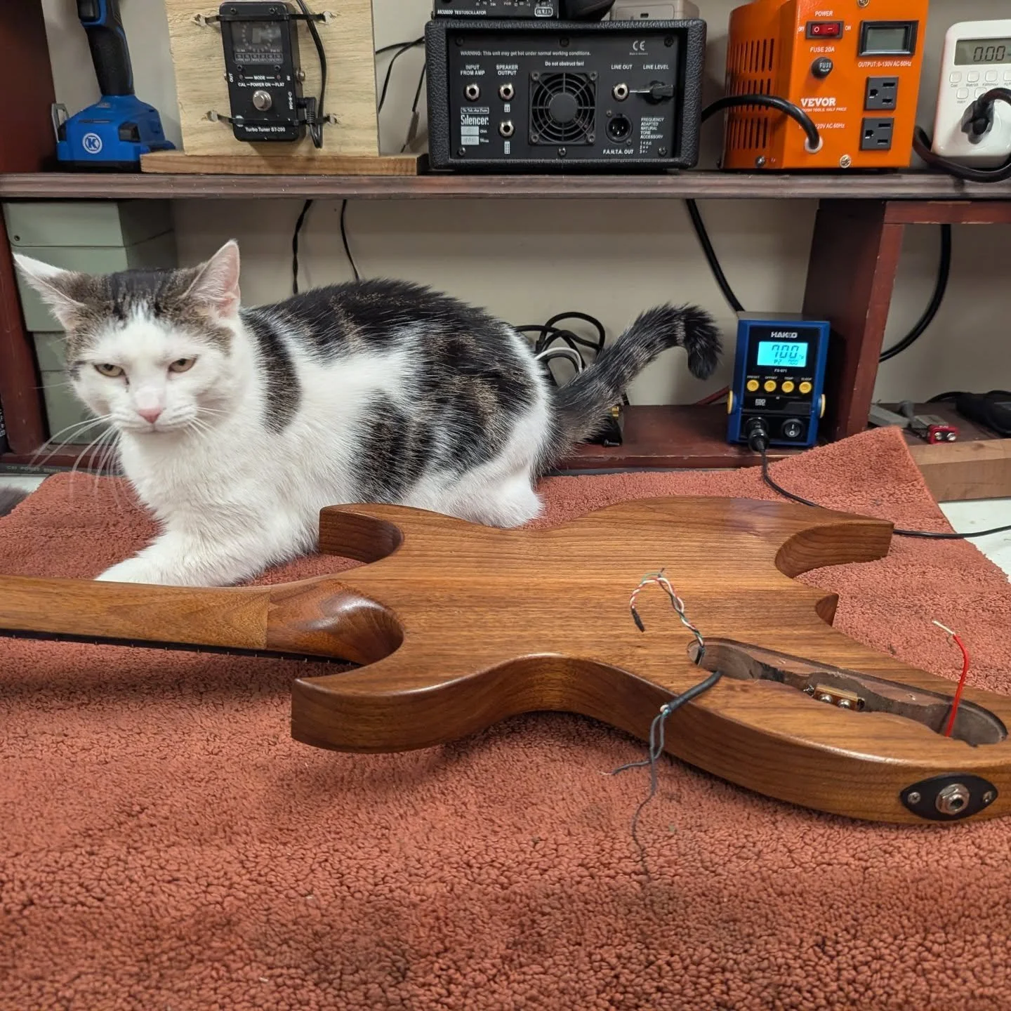 quality control supervisor lilly