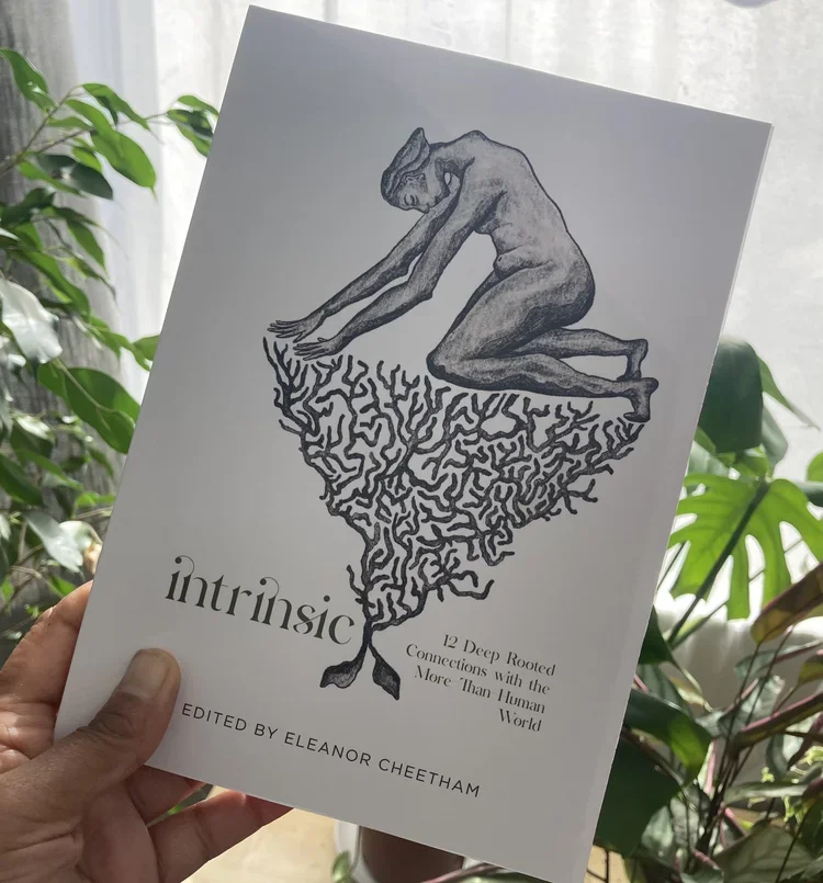 Lost Birds essay: shortlisted for Working Class Nature Writing Prize 2021 & published in 'Intrinsic' by Creative Countryside.