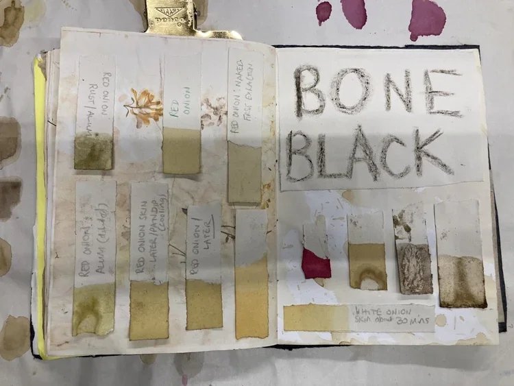 Open notebook with handwritten notes and colored swatches of onion skins labeled with different onion varieties and colors, including 'Red Onion Red Skin', 'Red Onion White Skin', and samples of onion skins in various shades, with prominent text 'BON