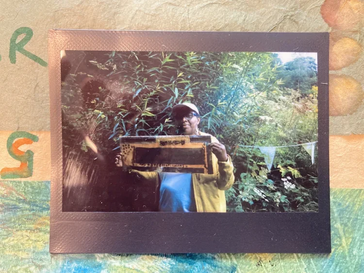 Person taking a mirror selfie outdoors surrounded by greenery, holding a black and yellow box, and wearing glasses, a cap, blue shirt, and yellow jacket.