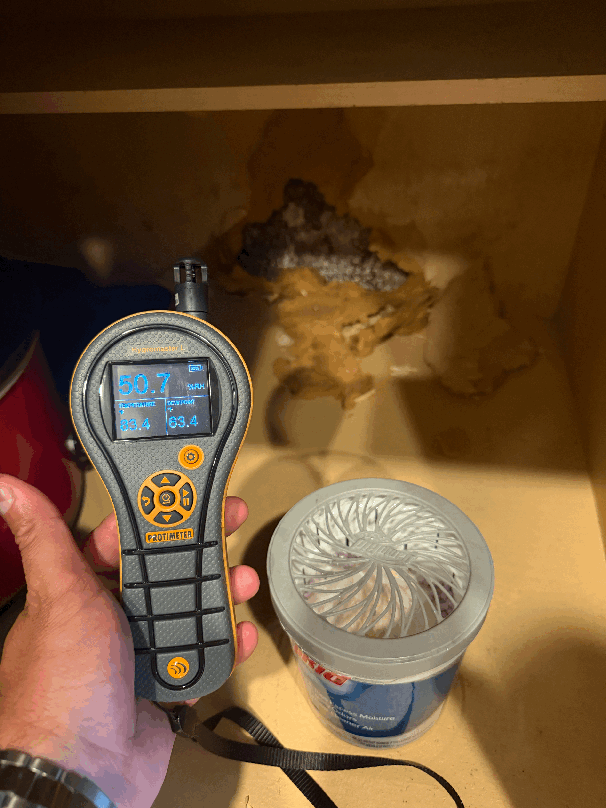 When Water Damage Leads to Mold: What Homeowners Need to Know