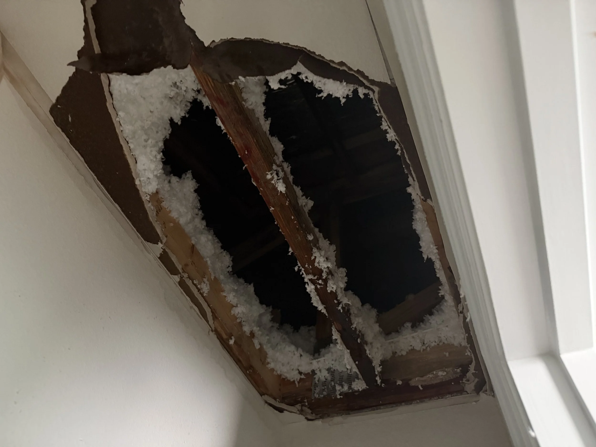 Homeowner Duty to Mitigate Loss: Why Acting Fast After Water and Fire Damage Matters